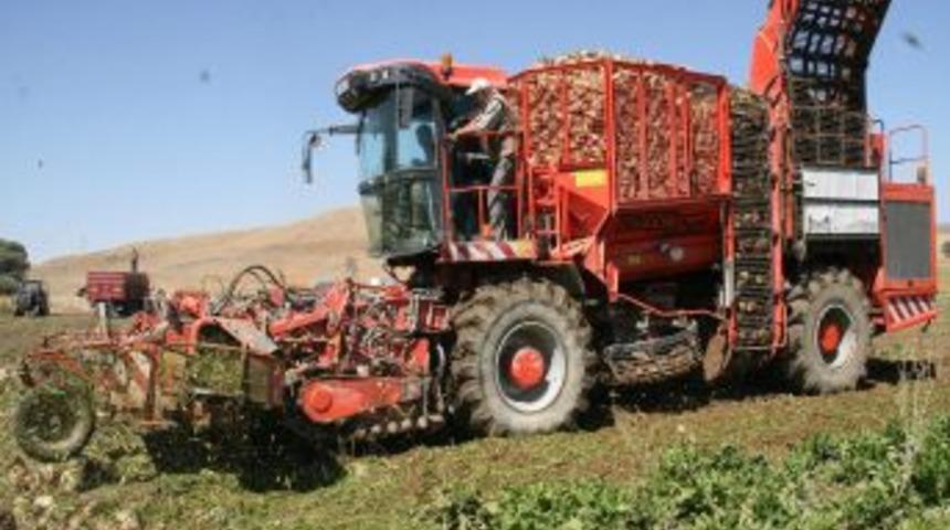 Yozgat&rsquo;ta şeker pancarı hasadına başlandı