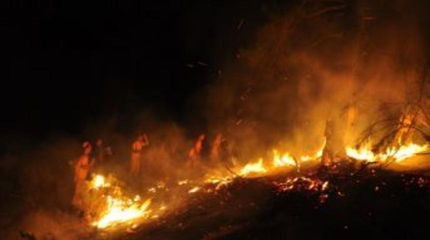 Fethiye&rsquo;de orman yangını