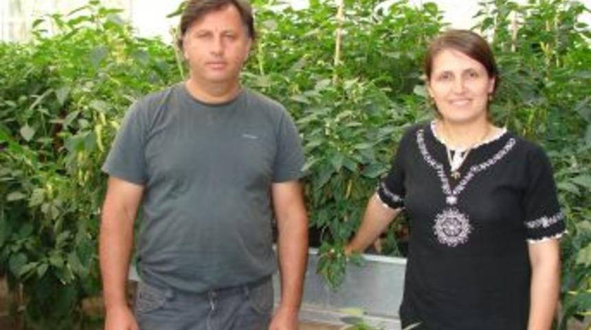 T&uuml;rkiye tohumda kendi gen kaynaklarını &uuml;retmeye başladı