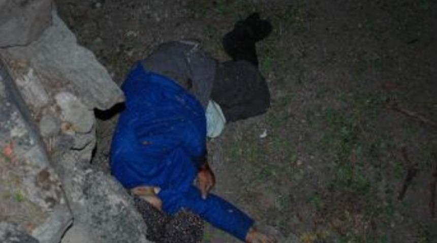 Erzurum'da ayı saldırısında 2 kişi &ouml;ld&uuml;