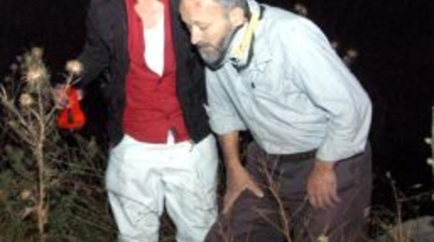 K&uuml;tahya'da kaza: 6 yaralı