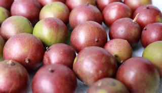 Portakaldan 60 kat daha fazla C vitamini i&ccedil;eriyor! Kilo vermeyi hızlandırıyor