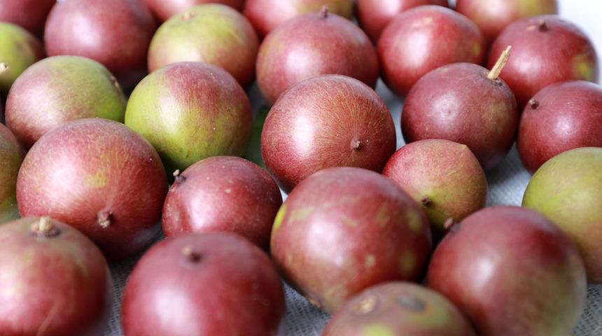 Portakaldan 60 kat daha fazla C vitamini i&ccedil;eriyor! Kilo vermeyi hızlandırıyor