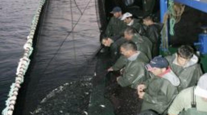 Karadenizli balık&ccedil;ılar ilk g&uuml;n denizden mutlu d&ouml;nd&uuml;