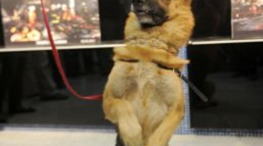 İtfaiye Haftası kutlanıyor