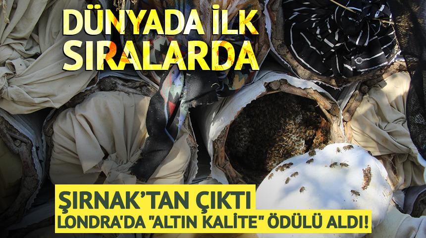 Şırnak'tan &ccedil;ıktı Londra'da "Altın Kalite" &ouml;d&uuml;l&uuml; aldı!