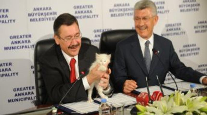 G&ouml;k&ccedil;ek: CHP'li belediye bunun altında kalır, bunun hesabını vermeli