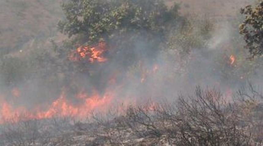 Zonguldak Ereğli'de 10 d&ouml;n&uuml;ml&uuml;k orman alanı yandı