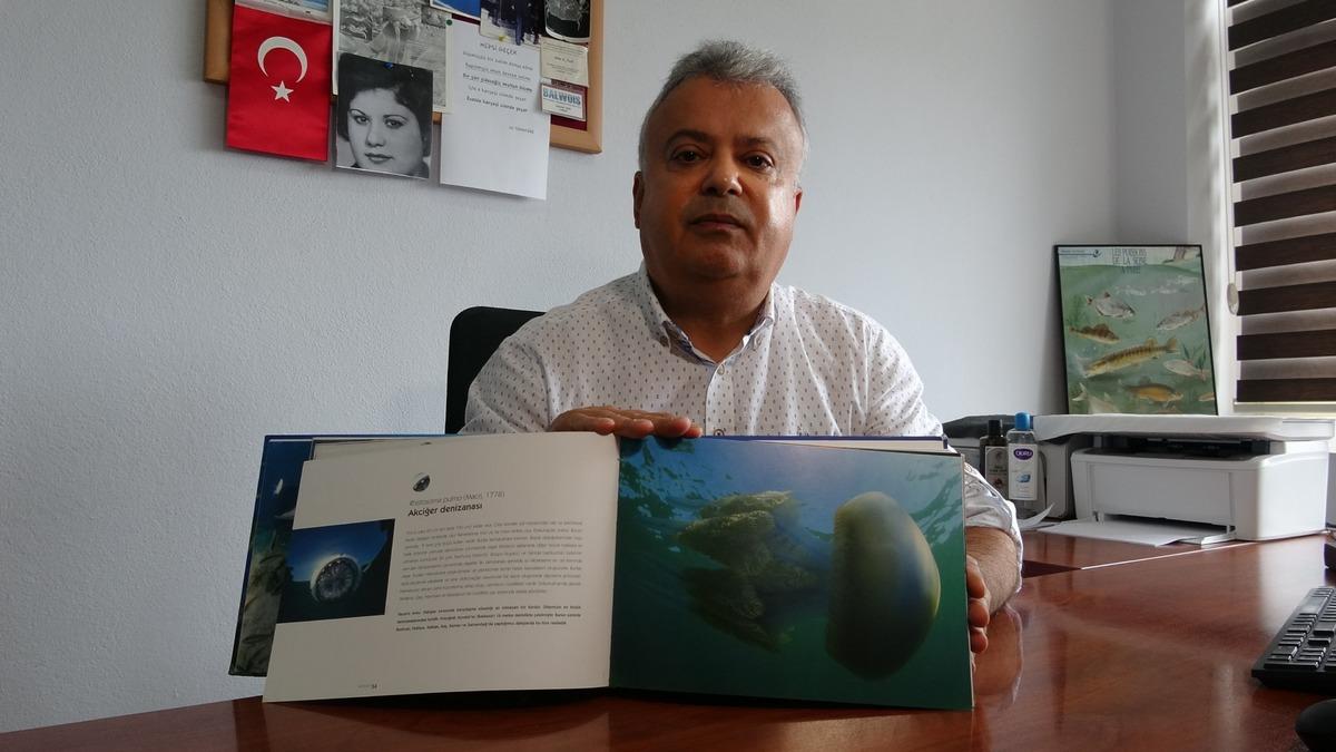 Boğazı sardılar! Uzmanı özellikle o bölge için uyardı: Bir anda yüzünüze çarpabilir 4