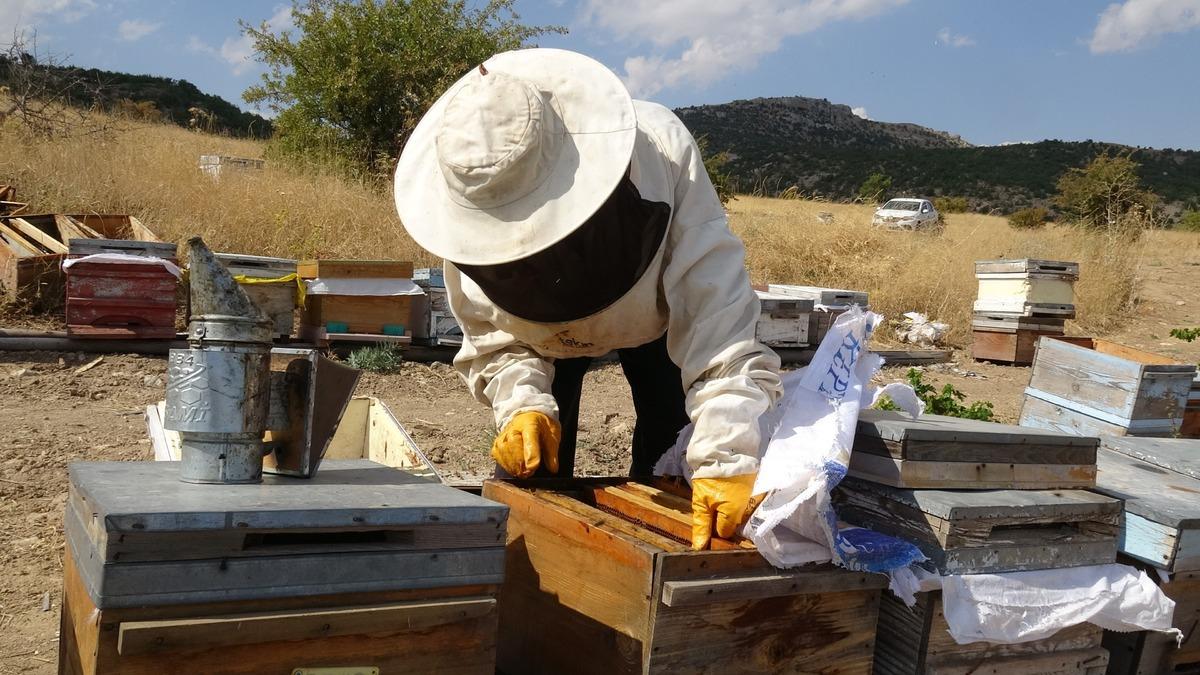 &Uuml;retici taleplere yetişemedi! Kilogramı 1.500 TL&rsquo;den yok sattı 2