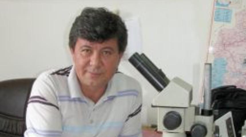 Ilgaz Dağı'nda yeni bir b&ouml;cek t&uuml;r&uuml; bulundu