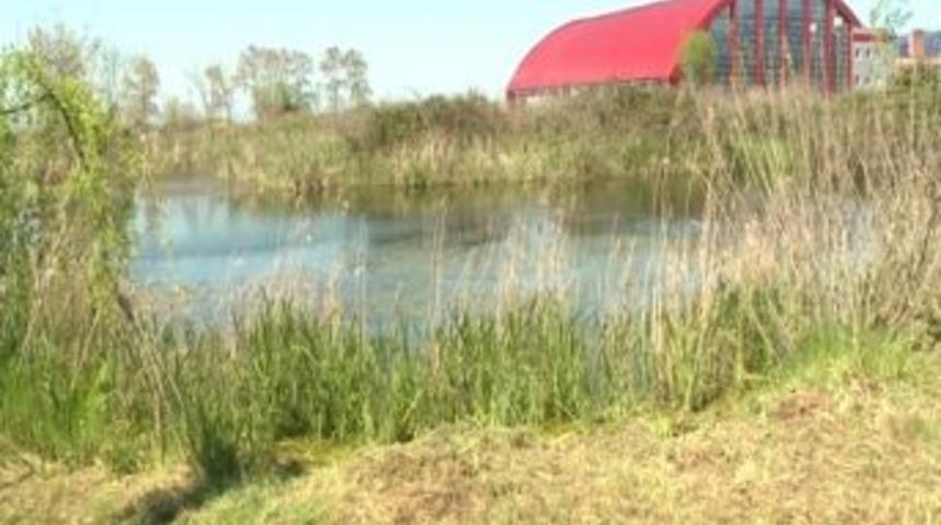 Durug&ouml;l kuru g&ouml;l olmasın diye 100 bin imza toplanacak