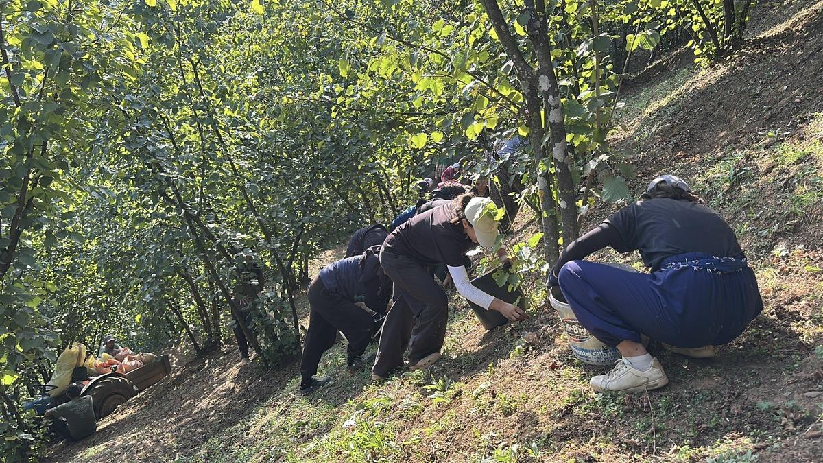 T&uuml;m k&ouml;y fabrikaya ortak! Market raflarına, hatta Amerika ya gitti 6