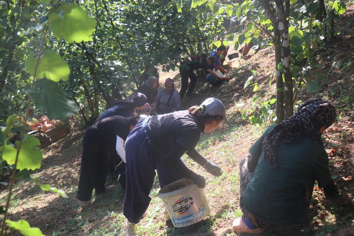 T&uuml;m k&ouml;y fabrikaya ortak! Market raflarına, hatta Amerika ya gitti 8