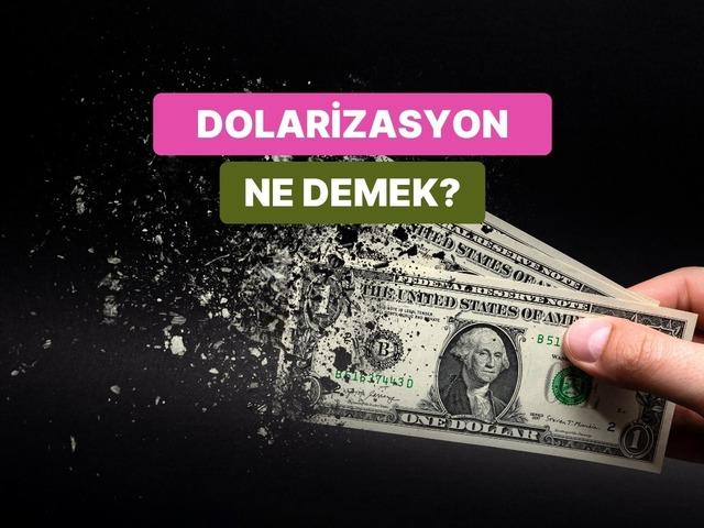 Dolarizasyon Hakkında Bilinmesi Gerekenler