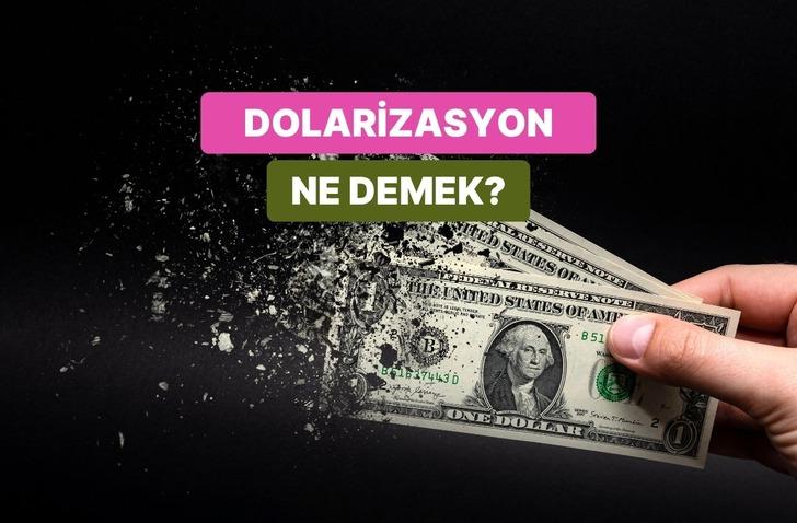 Dolarizasyon Nedir, Bir Ekonomi Kendi Parasından Neden Vazge&ccedil;er?
