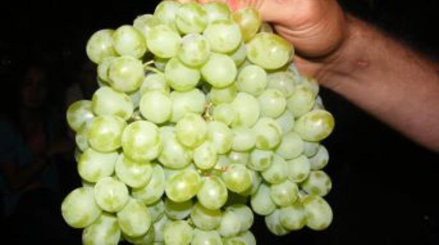 Senirkent&rsquo;de festival coşkusu