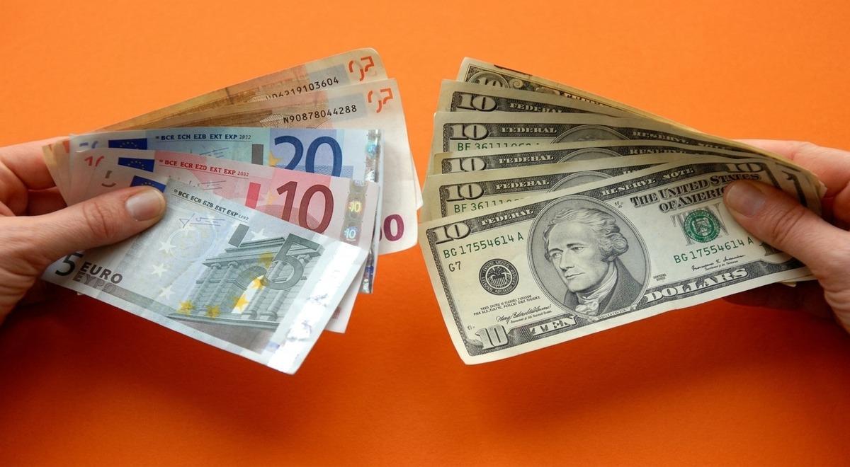 Dolarizasyon Nedir, Bir Ekonomi Kendi Parasından Neden Vazgeçer? 2