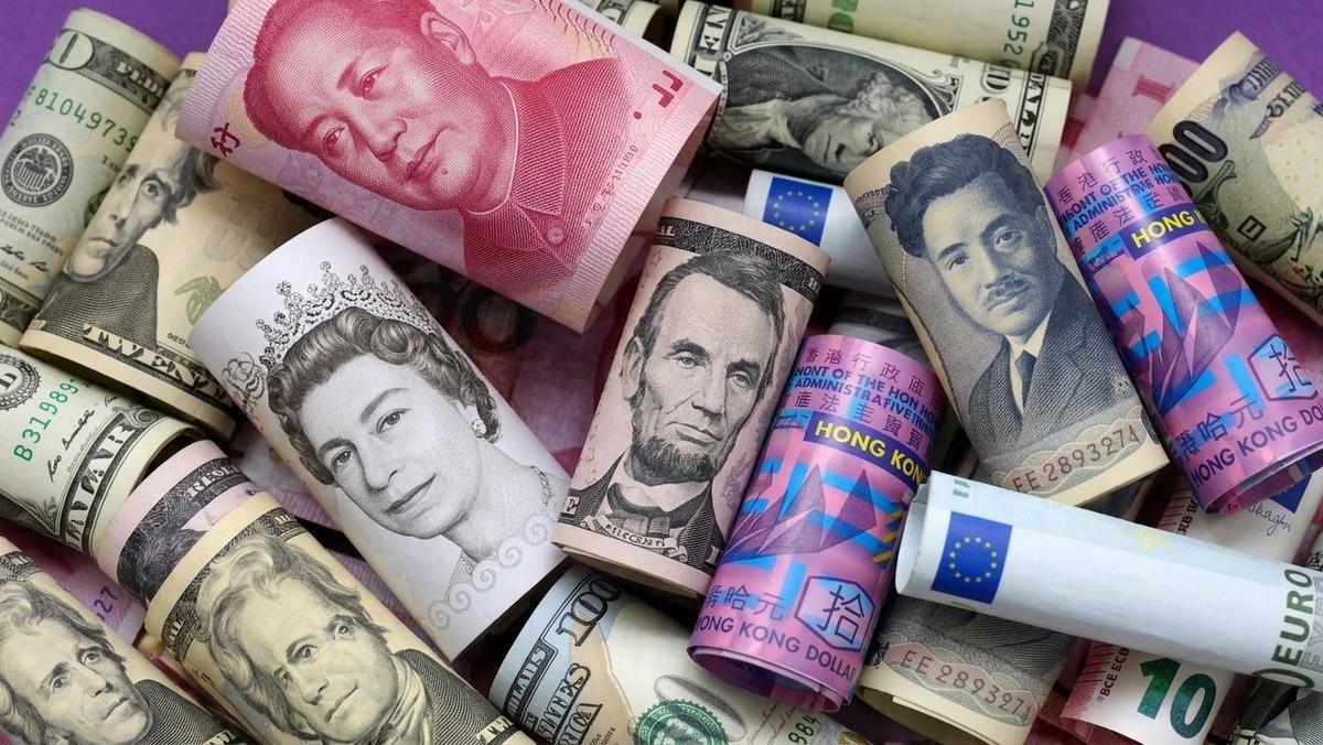 Dolarizasyon Nedir, Bir Ekonomi Kendi Parasından Neden Vazgeçer? 6