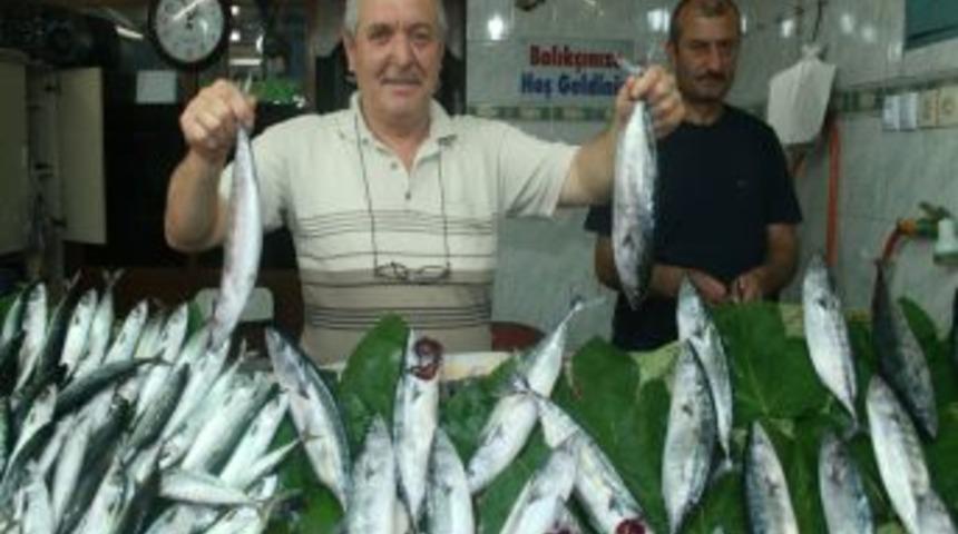 Av yasağının bitmesi balık&ccedil;ıların y&uuml;z&uuml;n&uuml; g&uuml;ld&uuml;rd&uuml;