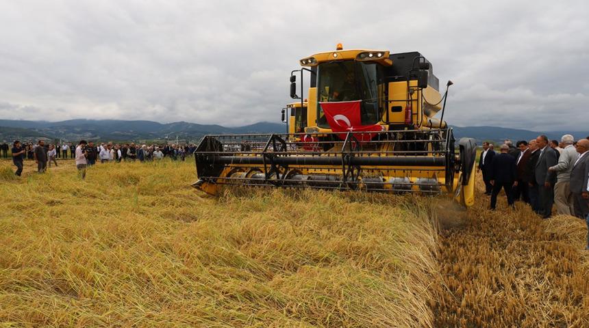 Tarlaya ektiler, d&ouml;n&uuml;m&uuml;nden 900 kilo &uuml;r&uuml;n aldılar!