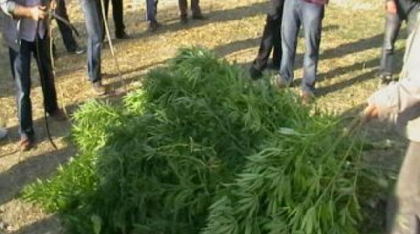 Karab&uuml;k'te uyuşturucu operasyonu