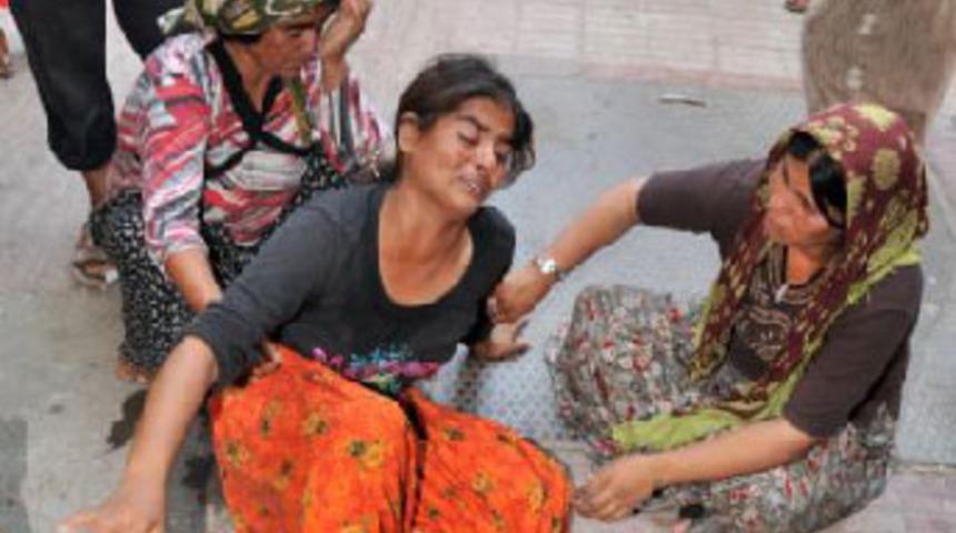 Piknik faciayla bitti