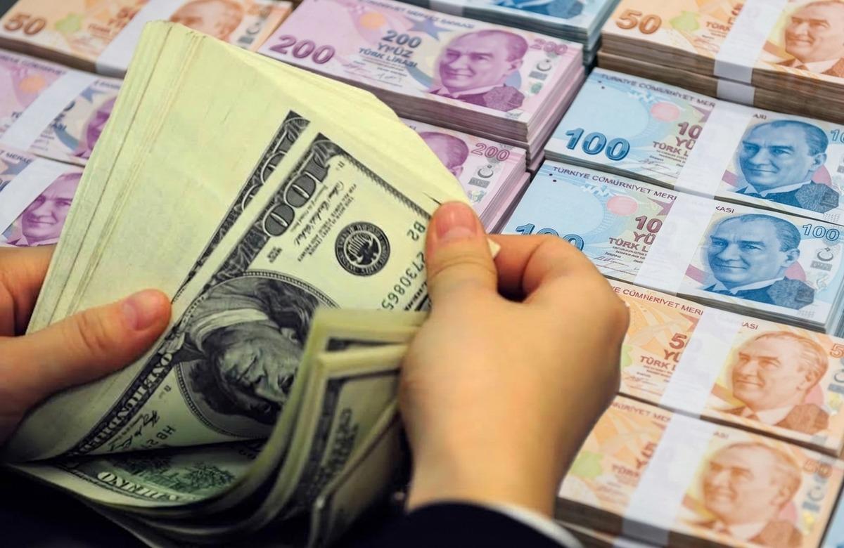 Sermaye Kontrol&uuml; Nedir, Paranızı &Uuml;lkeden &Ccedil;ıkarmak Neden Sınırlandırılır? 4