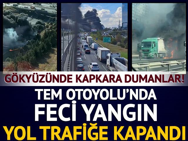 TEM Otoyolu'nda yangın! Edirne istikameti trafiğe kapatıldı