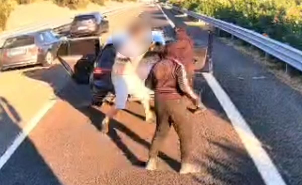 Jammer bile kullandılar! Türk tırı, İtalya da silahlı 4 kişi tarafından gasbedildi 4