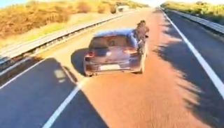 Jammer bile kullandılar! T&uuml;rk tırı, İtalya'da silahlı 4 kişi tarafından gasbedildi