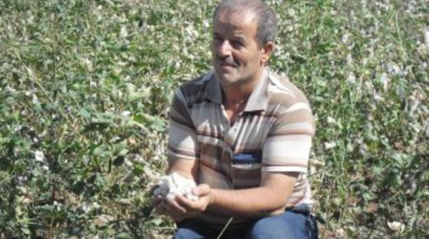 Ceylanpınar'da sel &uuml;reticiyi vurdu