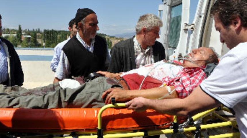 Vekilin kardeşi domuz saldırısında yaralandı