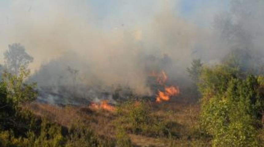 Zonguldak'ta &ccedil;alılık alan yandı