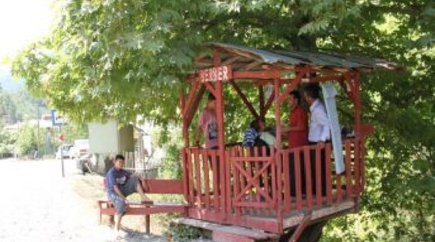 &Ccedil;ınar g&ouml;lgesinde tıraş keyfi