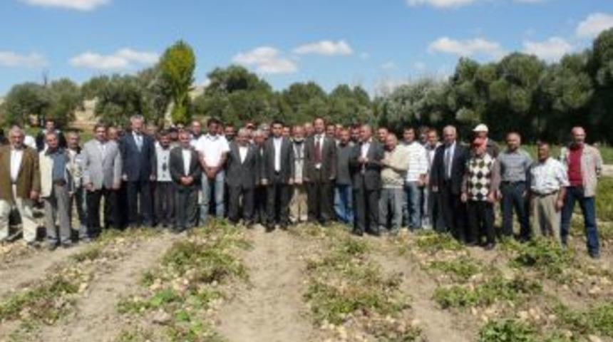 Patates hasadı t&ouml;renle başladı