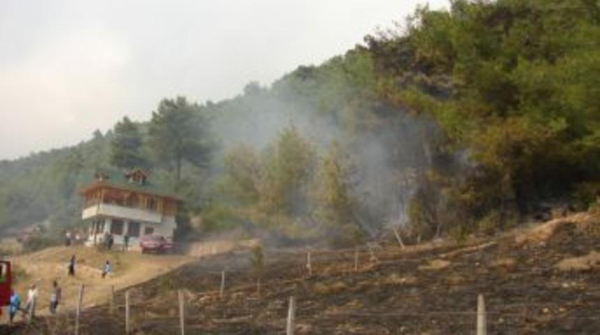 Kozan&rsquo;da 1 d&ouml;n&uuml;m kızıl&ccedil;am ormanı yandı