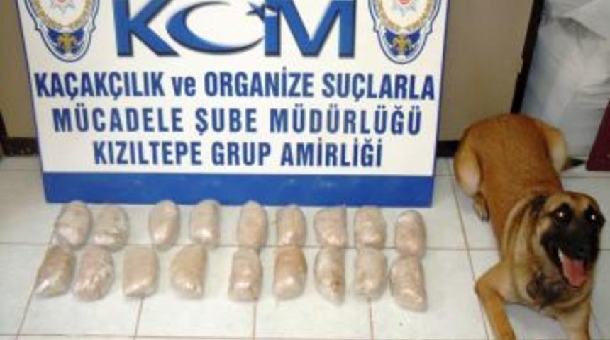 Dedekt&ouml;r k&ouml;pek sayesinde 9 kilogram eroin ele ge&ccedil;irildi