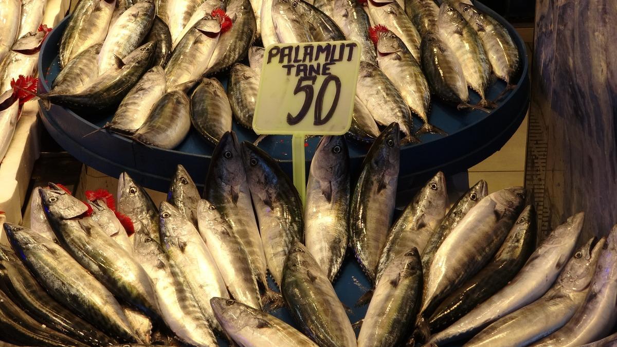 Karadeniz&rsquo;de bereket patladı! Denizden bin 300 ton &ccedil;ıktı 3