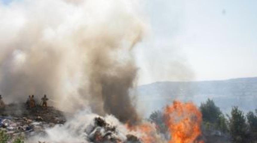 Köylüler anız yaktı, üniversite ormanı alevlere teslim oldu