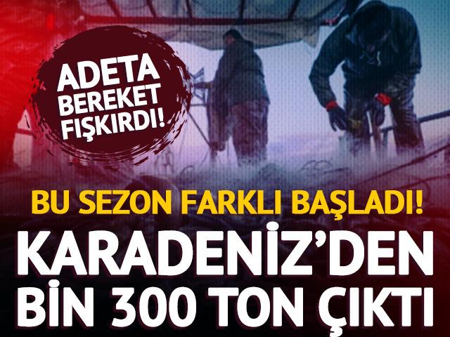 Karadeniz&rsquo;de bereket patladı! Denizden bin 300 ton &ccedil;ıktı
