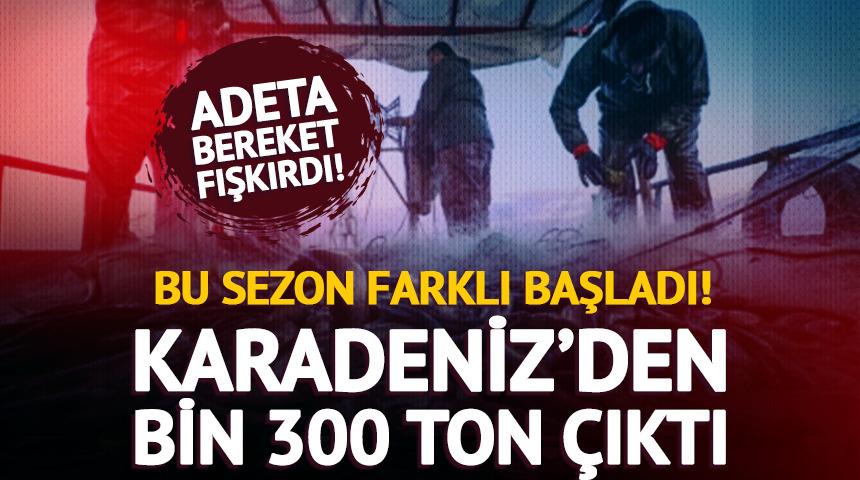 Karadeniz&rsquo;de bereket patladı! Denizden bin 300 ton &ccedil;ıktı