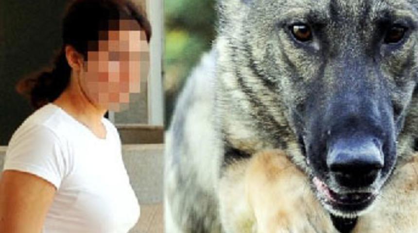 Tecav&uuml;zden k&ouml;pek kurtardı