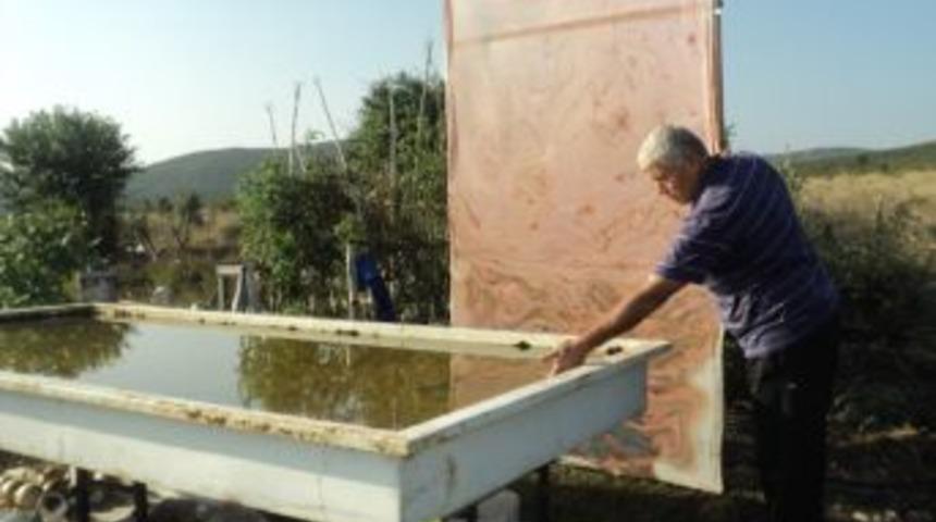 Manyaslı sanat&ccedil;ı ebru &ouml;ğretecek meraklı arıyor