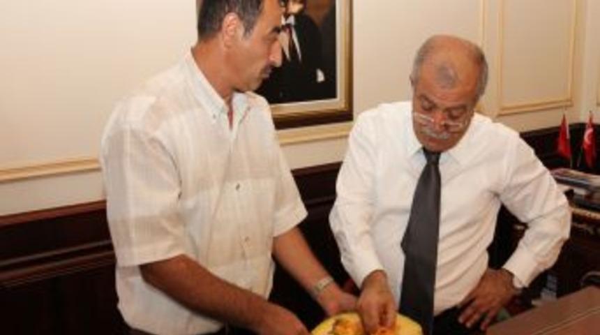 Yozgat&rsquo;ta kabuksuz kabak &ccedil;ekirdeği &uuml;retimi geliştirilecek