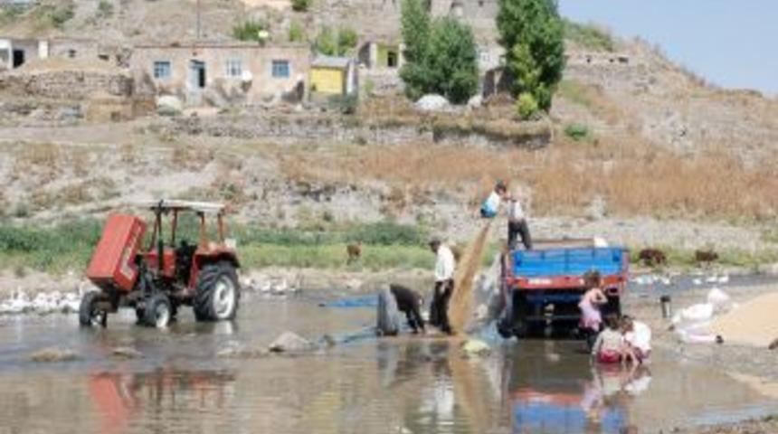 Su olmadığı i&ccedil;in buğdaylarını g&ouml;lde yıkıyorlar