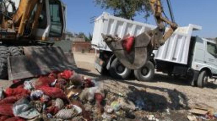 Midye çöplüğünde temizlik