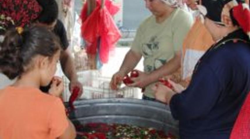 Sal&ccedil;alık biber &ccedil;ekim tezgahları su ve zaman kaybını &ouml;nl&uuml;yor