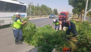 Kuvvetli r&uuml;zgar ağacı devirdi