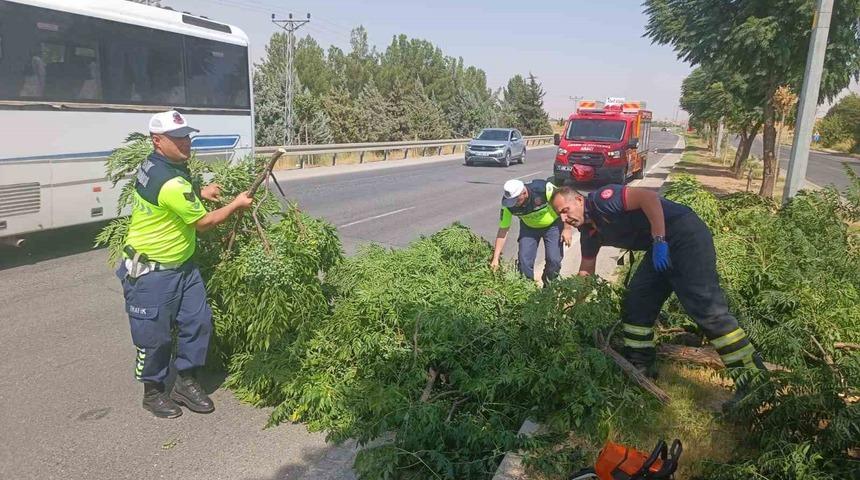 Kuvvetli r&uuml;zgar ağacı devirdi